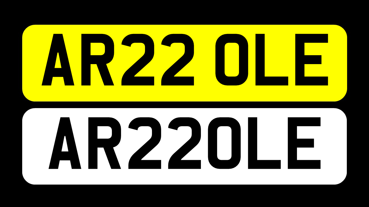 AR22 OLE