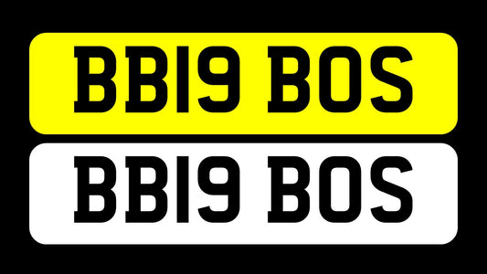 BB19 BOS