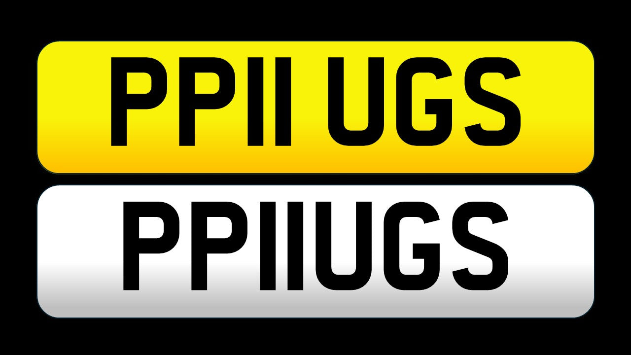 PP11 UGS