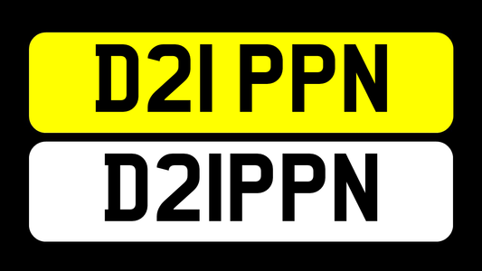 D21 PPN