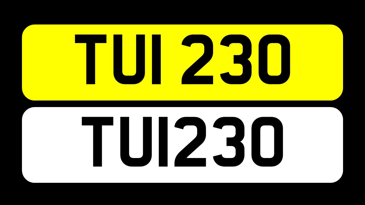 TUI 230